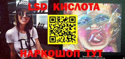 гашик Ярославль