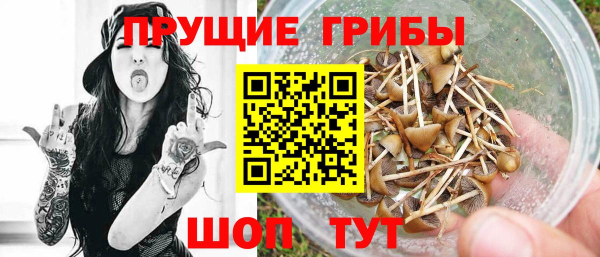 Галлюциногенные грибы MAGIC MUSHROOMS Амурск